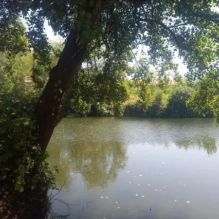 Appartement Centrico De Dos Dormitorios, Amplio Y Luminoso Plasencia