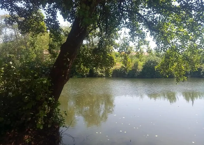 Apartamento Centrico De Dos Dormitorios, Amplio Y Luminoso Plasencia